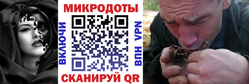 Купить где  Островной  Псилоцибиновые грибы Cubensis 